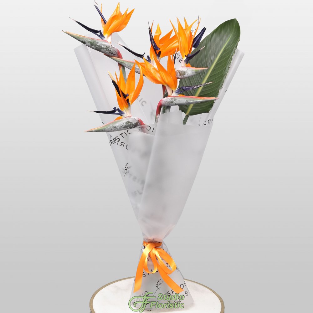 Букет из Стрелиции 5 шт «Перо Жар-Птицы» Букет из Стрелиции 5 шт «Перо Жар-Птицы»