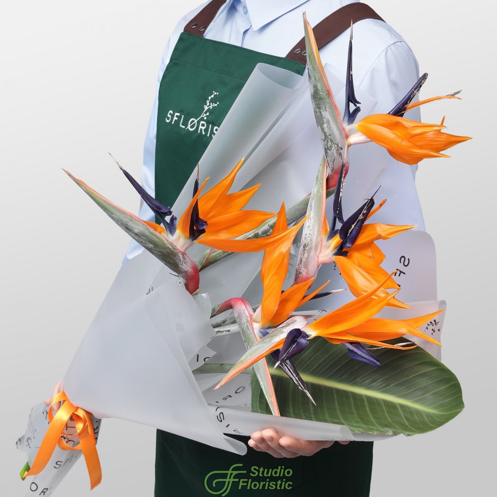 Букет из Стрелиции 5 шт «Перо Жар-Птицы» Букет из Стрелиции 5 шт «Перо Жар-Птицы»