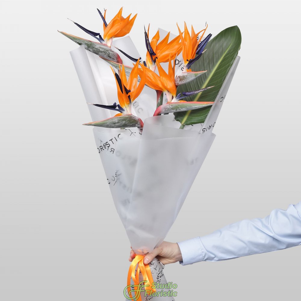 Букет из Стрелиции 5 шт «Перо Жар-Птицы» Букет из Стрелиции 5 шт «Перо Жар-Птицы»