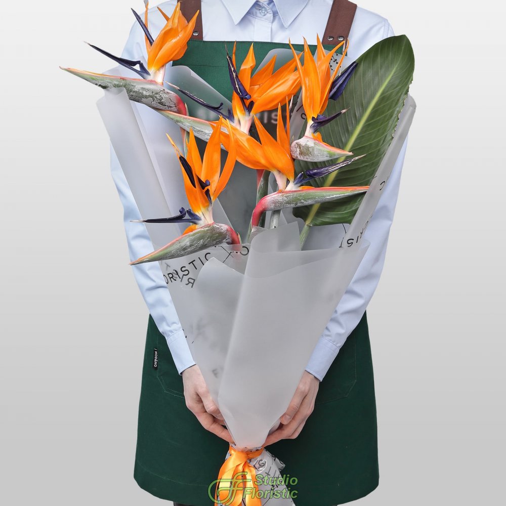 Букет из Стрелиции 5 шт «Перо Жар-Птицы» Букет из Стрелиции 5 шт «Перо Жар-Птицы»