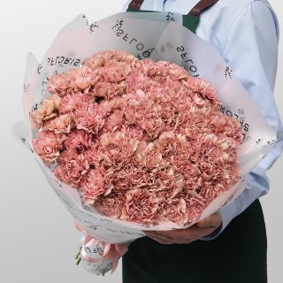 Букет из Пудрово-Розовых Гвоздик 51 шт «Мягкие Объятия»