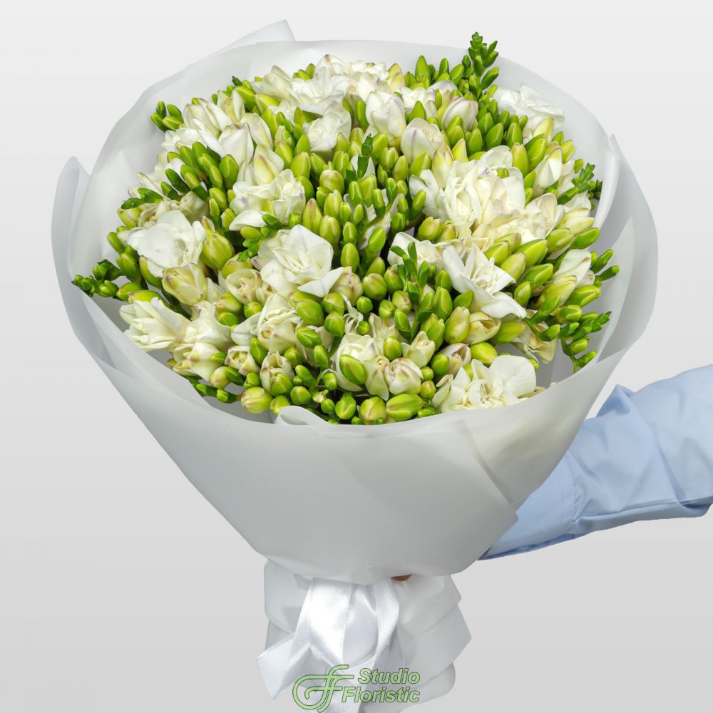 Букет из Белых Фрезий 51 шт «Ванильные сны» Букет из Белых Фрезий 51 шт «Ванильные сны»