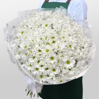 Букет из Белых Кустовых Хризантем 51 шт «Лавина нежности»