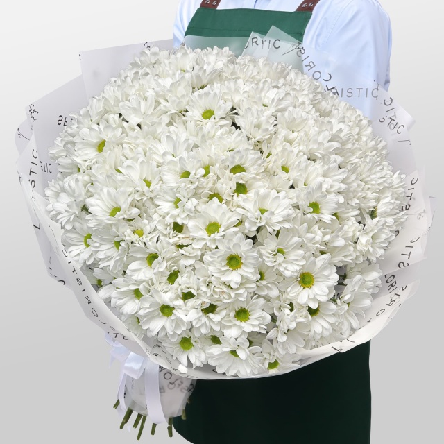Букет из Белых Кустовых Хризантем 51 шт «Лавина нежности»