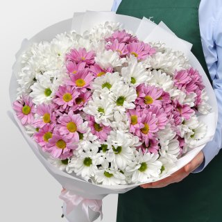 Букет из Розовых и Белых Кустовых Хризантем «Карусель» Букет из Розовых и Белых Кустовых Хризантем «Карусель»
