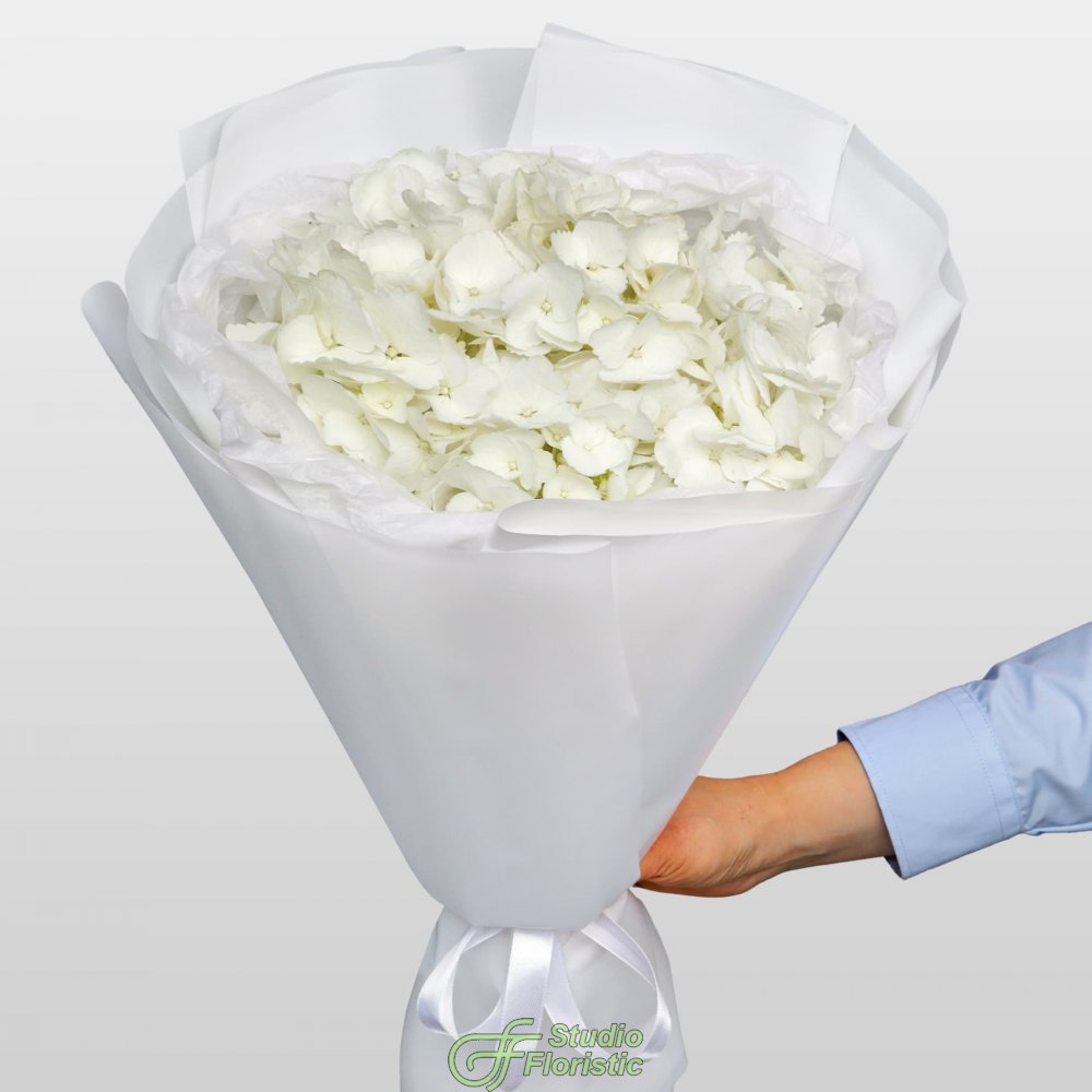 Букет из Гортензии «Белая гортензия» Букет из Гортензии «Белая гортензия»