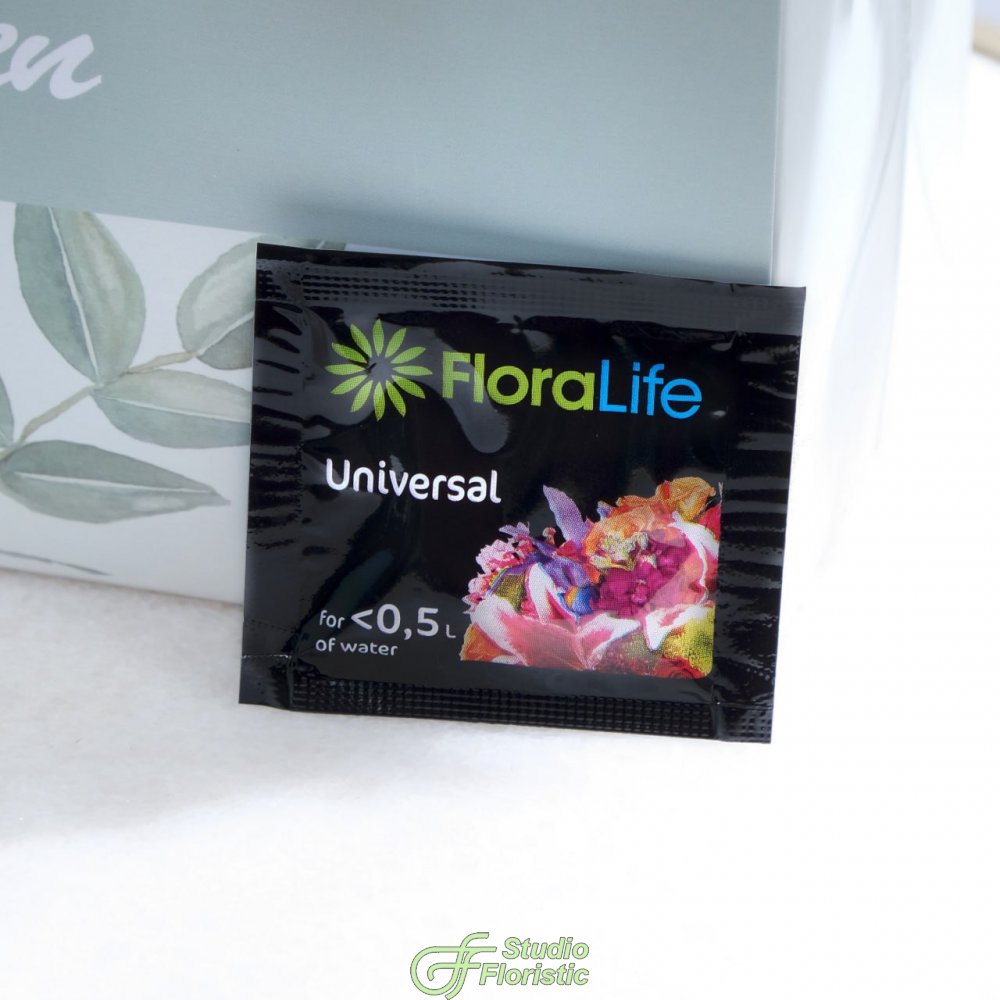 Букет из Гортензии «Белая гортензия» Букет из Гортензии «Белая гортензия»