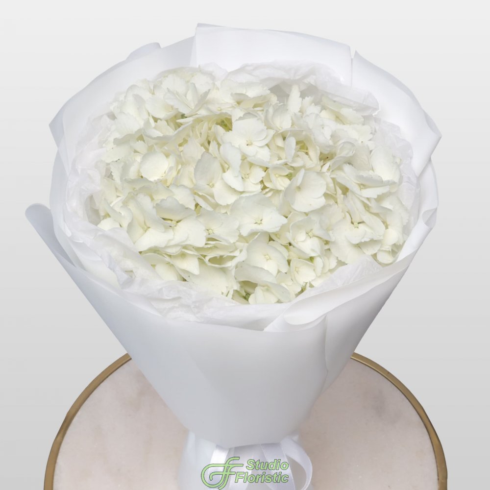Букет из Гортензии «Белая гортензия» Букет из Гортензии «Белая гортензия»