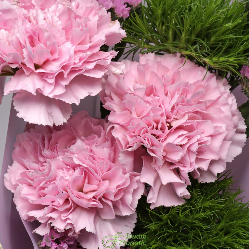 Букет из Гвоздик и Статицы «Майский сад» Букет из Гвоздик и Статицы «Майский сад»