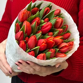 Пачка красных тюльпанов