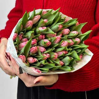 Пачка розовых тюльпанов Пачка розовых тюльпанов