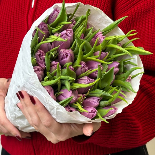 Пачка фиолетовых пионовидных тюльпанов