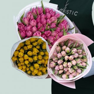 Пачка тюльпанов