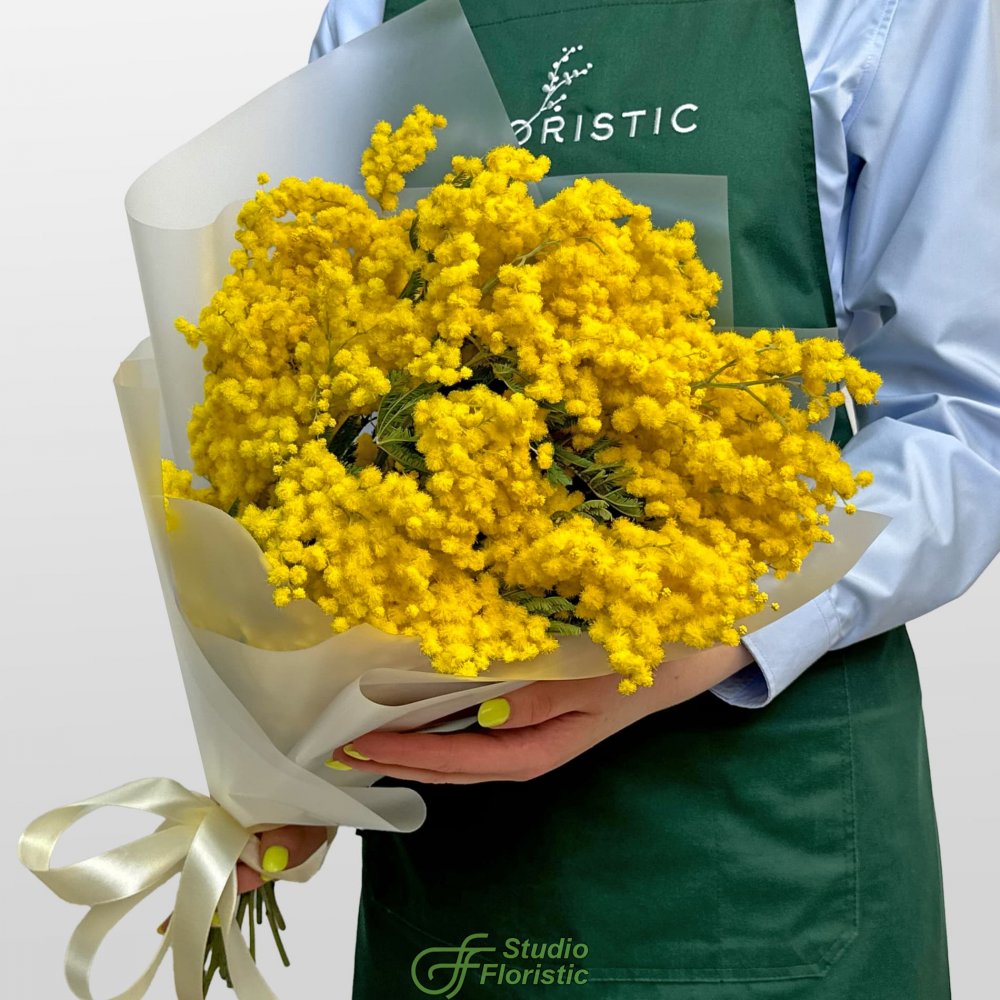 Букет из Мимоз 9 шт «Свидание с весной» Букет из Мимоз 9 шт «Свидание с весной»