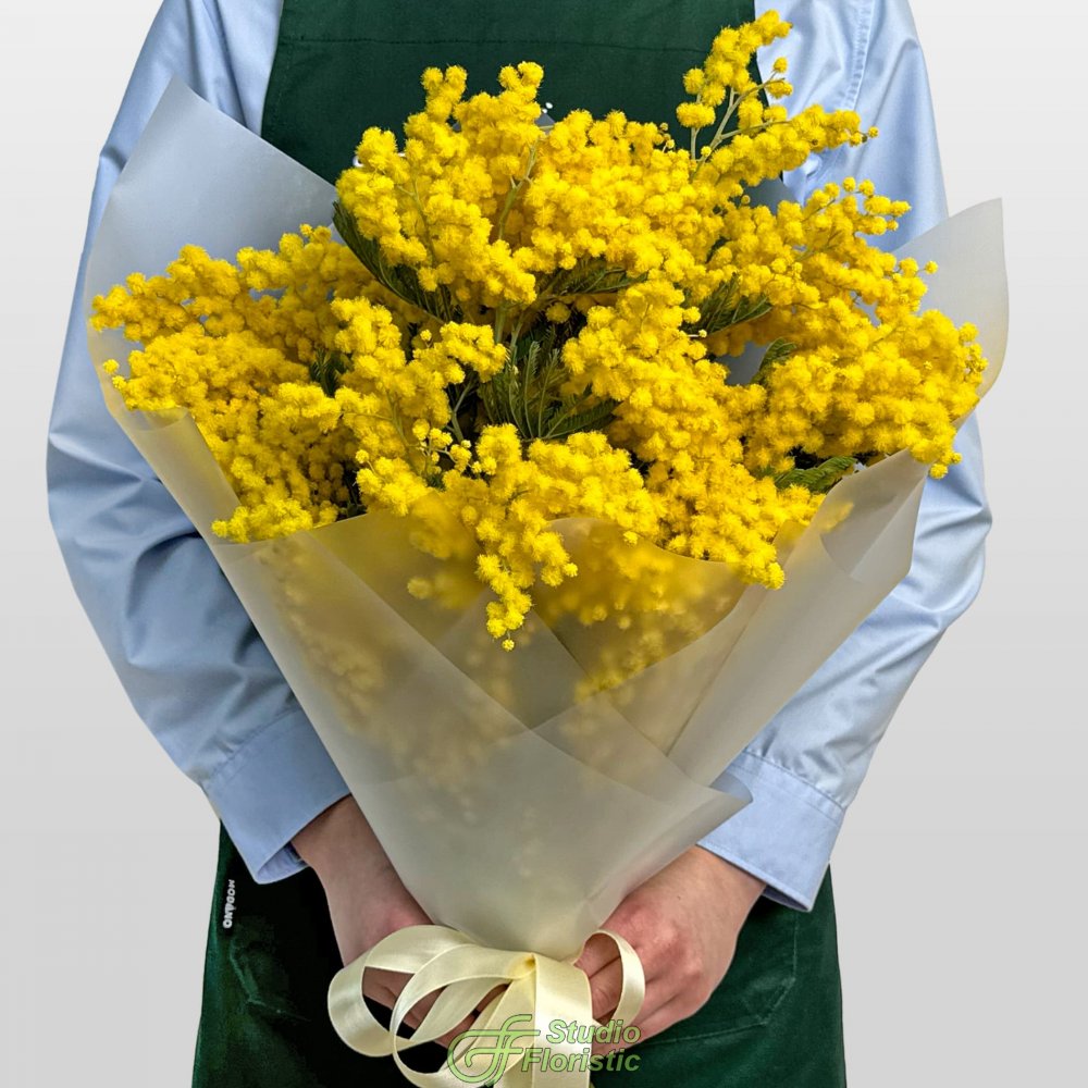 Букет из Мимоз 9 шт «Свидание с весной» Букет из Мимоз 9 шт «Свидание с весной»