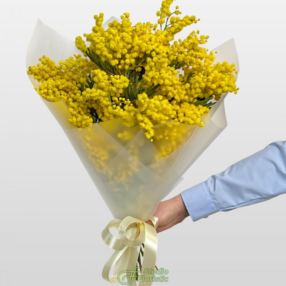 Букет из Мимоз 9 шт «Свидание с весной» Букет из Мимоз 9 шт «Свидание с весной»
