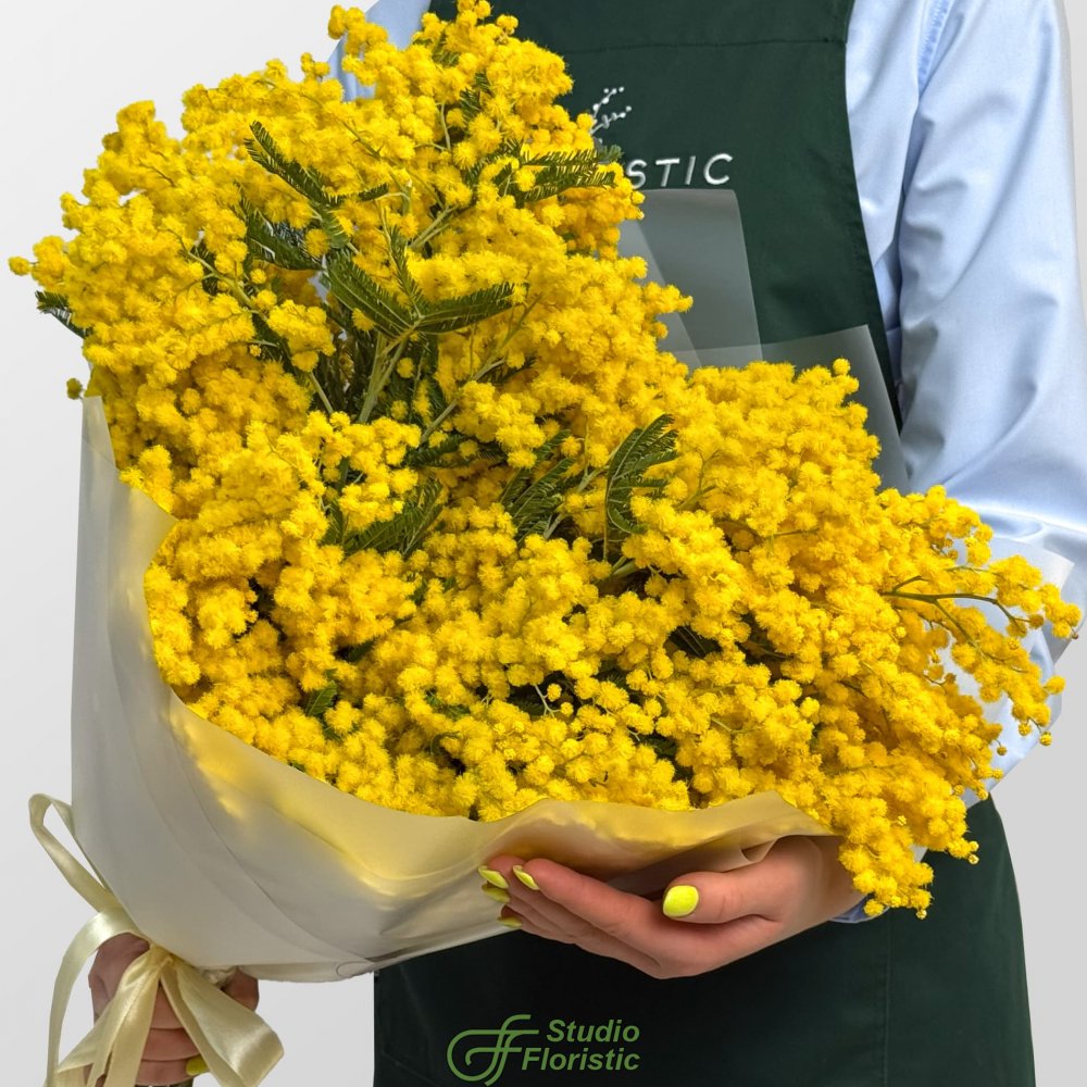 Букет из Мимоз 19 шт «Мартовское утро» Букет из Мимоз 19 шт «Мартовское утро»