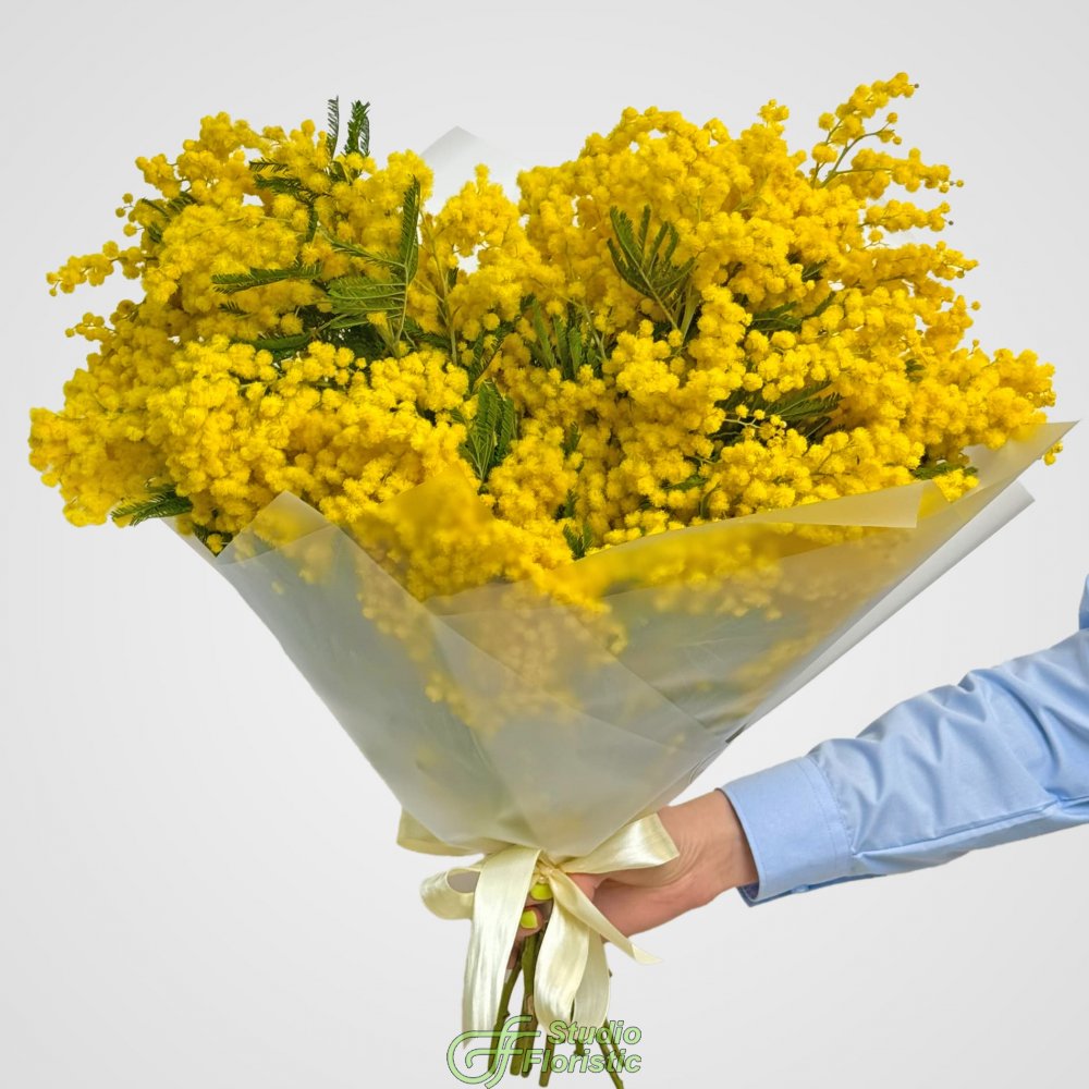 Букет из Мимоз 19 шт «Мартовское утро» Букет из Мимоз 19 шт «Мартовское утро»