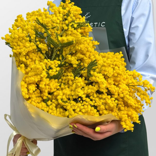 Букет из Мимоз 19 шт «Мартовское утро»
