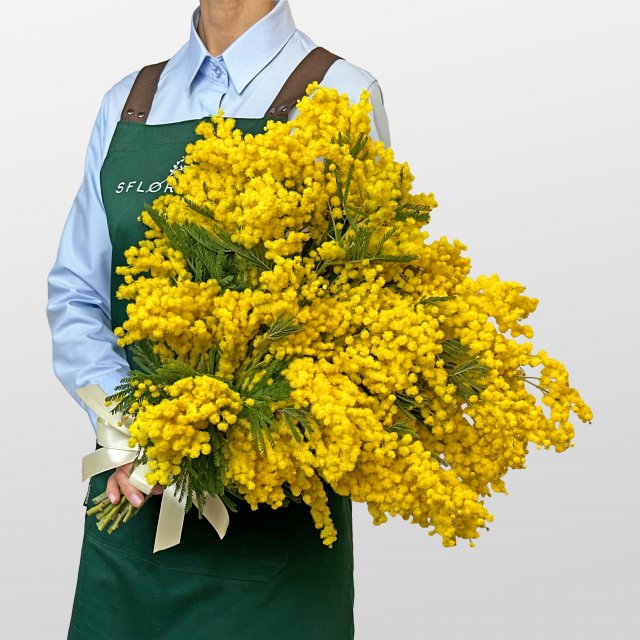 Букет из Мимоз 19 шт «Золотая россыпь» Букет из Мимоз 19 шт «Золотая россыпь»