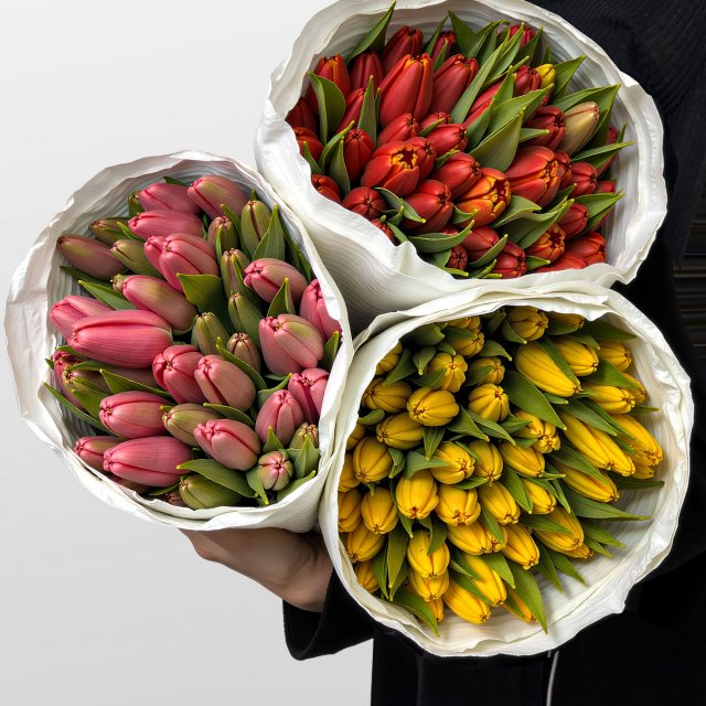 Пачка тюльпанов в ярких оттенках Пачка тюльпанов в ярких оттенках