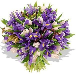 Букет из Тюльпанов и Ирисов «Тайна лугов»