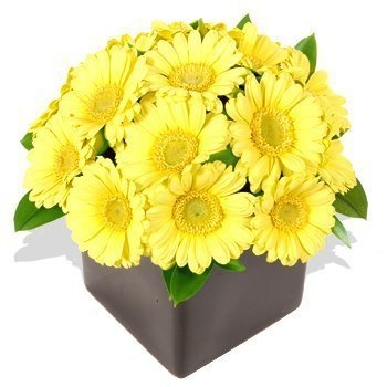 Композиция из Гербер «Кубок из гербер»