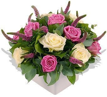 Букет из Роз и Вероники «Мечта о леди»