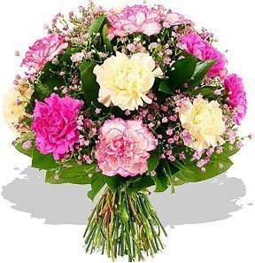 Букет из Гвоздик и Гипсофилы «Настроение Розовых гвоздик»