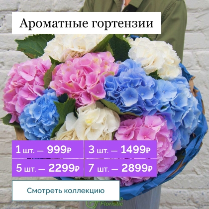 доставка цветов по москве круглосуточно доставка бесплатно